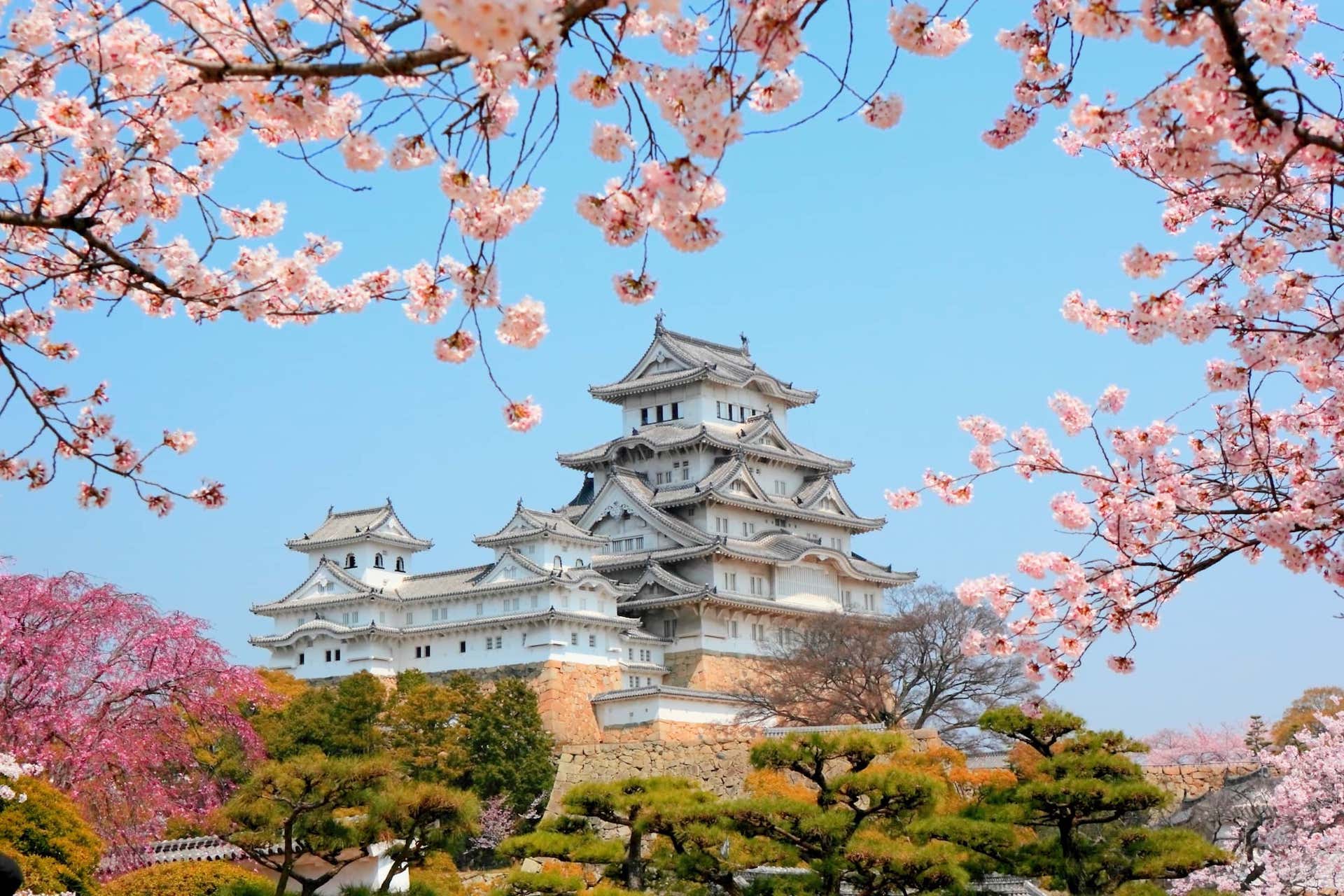 Japan Trip 2026